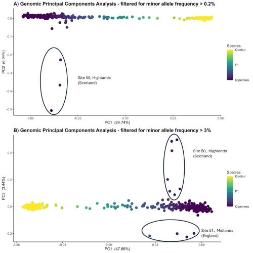 genetic principal components analysis summarising genetic variation in multiple populations of British oak. PC1, accounting for 