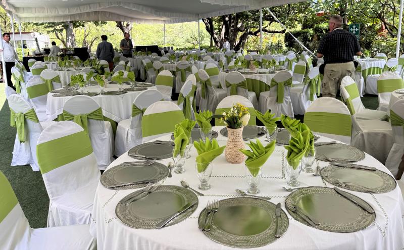 Lunch in the marquee green theme