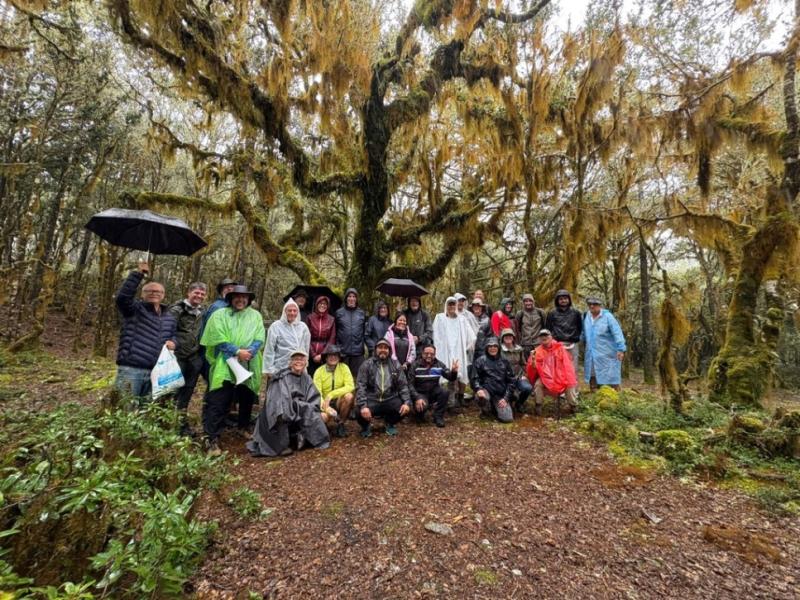 Our tour group beneath the lichen covered branches of Quercus macdougallii.