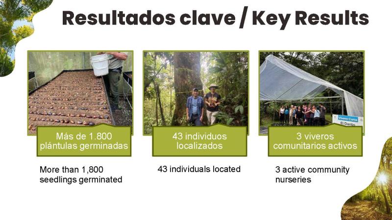 Slide from presentation: Key results