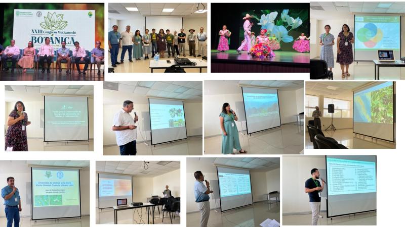 Snapshots from the Congress and the Symposium