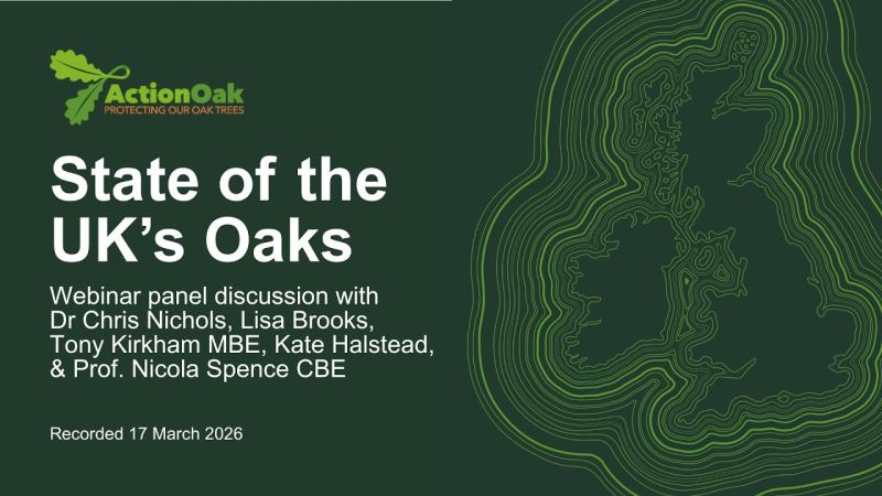 Webinar cover