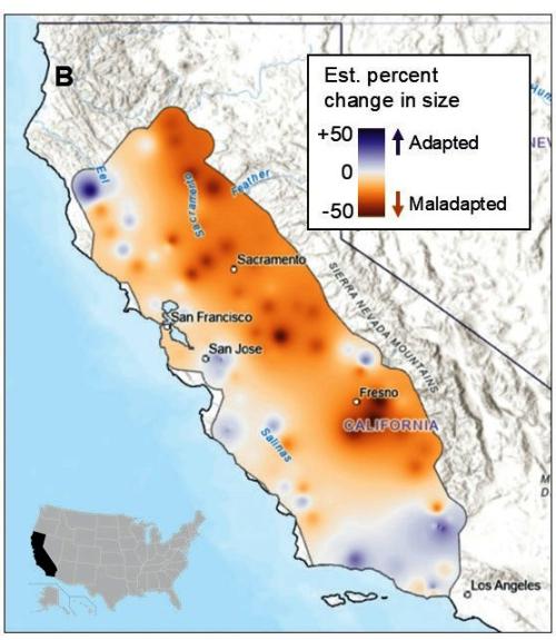 The provenance trial indicated valley oak growth declines across much of the low-elevation  inland range and growth increases in