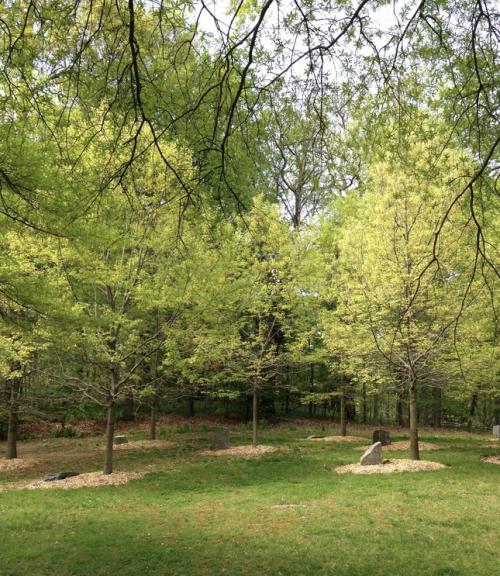 The Joseph Beuys Sculpture Park at the University of Maryland Baltimore County. © Scott218. Reproduced under the Creative Common