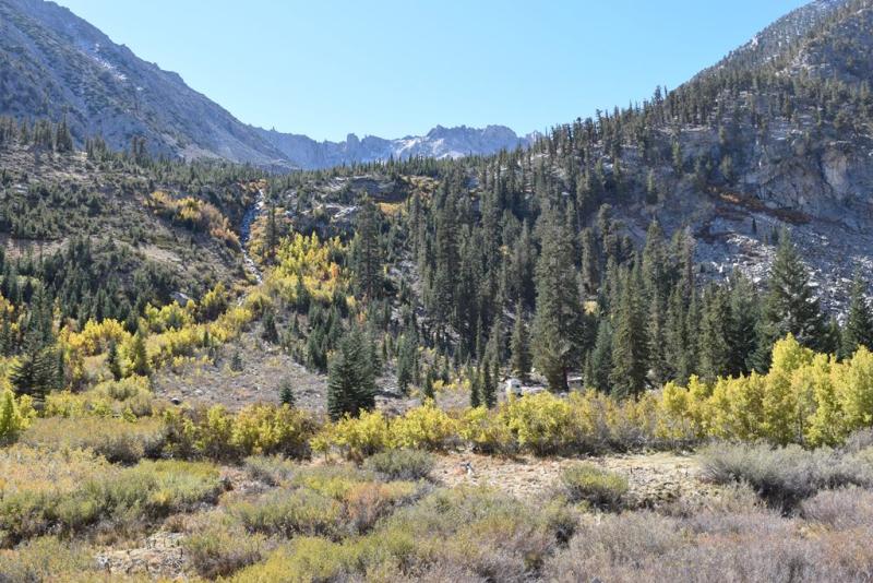 Onion valley