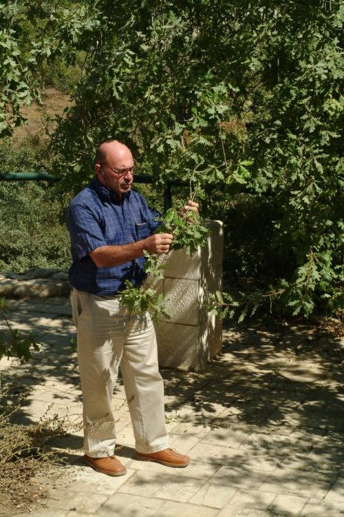 Michael Avishai