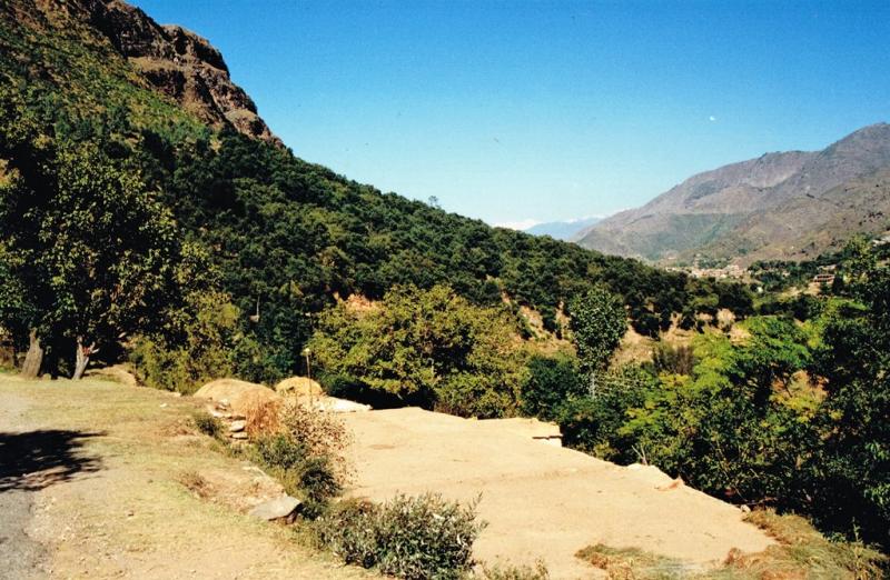 Saidu