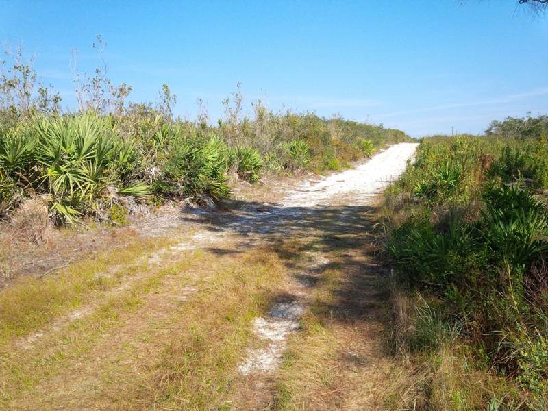 Florida14