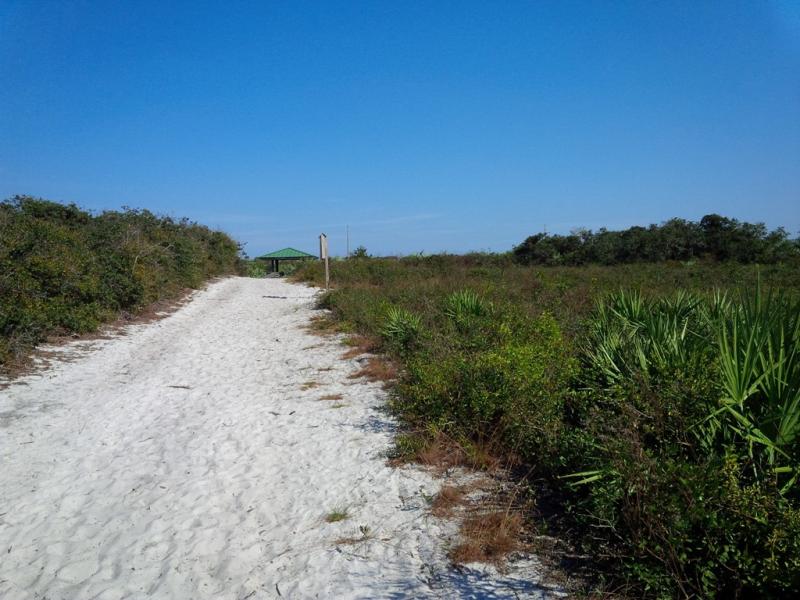 Florida12