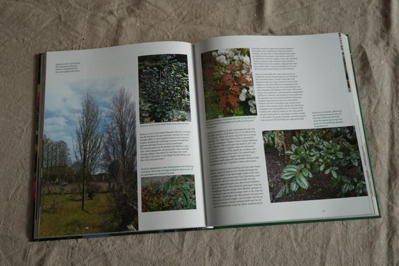 Pages from Gert's book