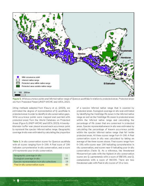 Page from the Quercus acutifolia Species Profile