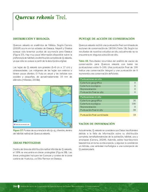 Page from Quercus rekonis Species Profile