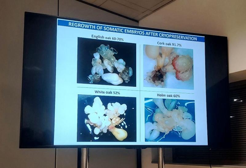 Slide from Elena Corredoira's presentation