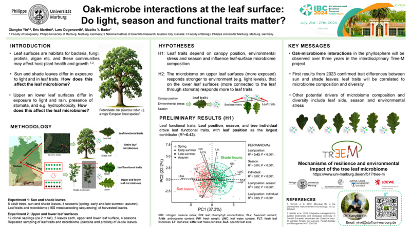 Oak-microbe interactions