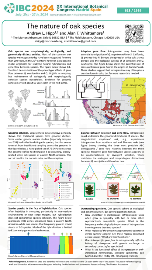 The nature of oak species