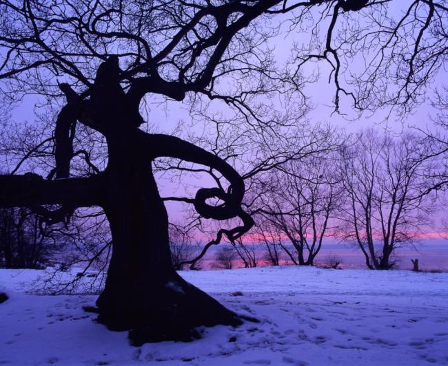 Sunset Gustaf E.