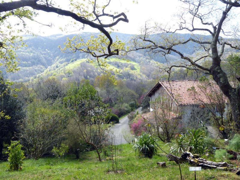 Iturraran Botanical Garden