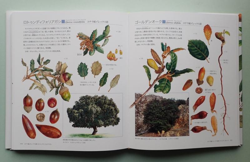 Pages1