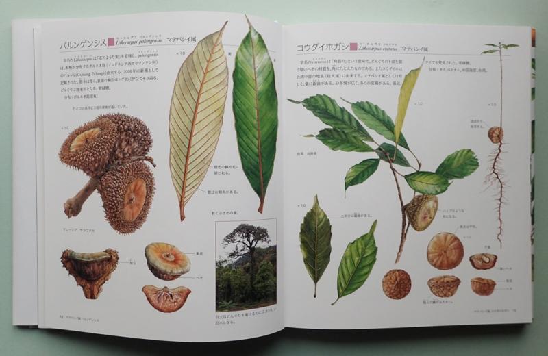 Pages3
