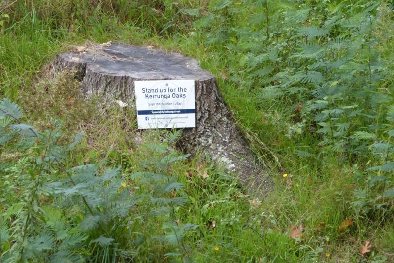 Save the Oaks