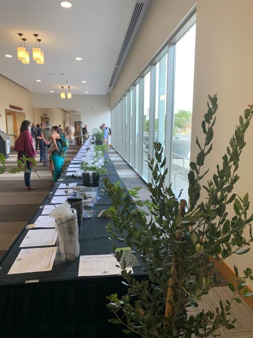 Silent Auction