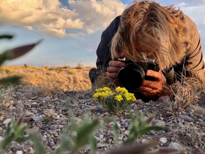 MIchael Eason photographing