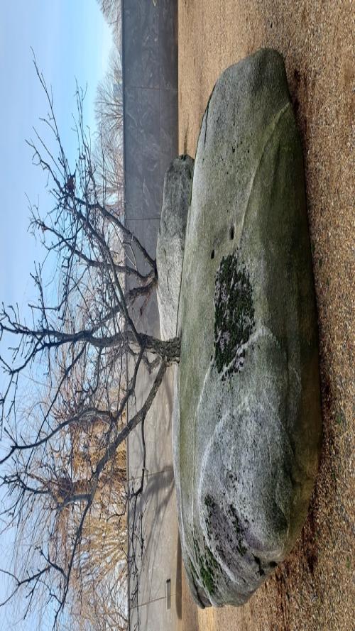 Scarred rock