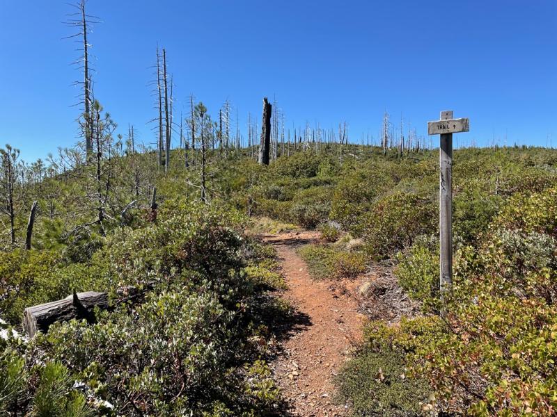 Fiddler Peak