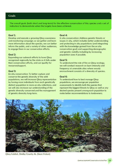 Page from Qboy Conservation Plan outlining 6 goals