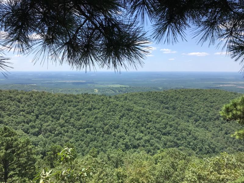 Ouachita National Forest