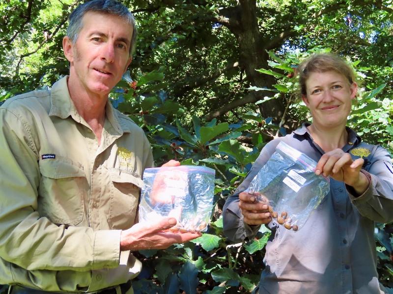 Peter Berbee and Jo Brennan with newly arrived acorns