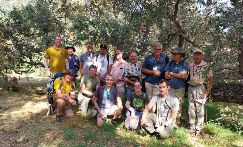 Our group in the Los Angeles County Botanic Garden with curator Jim Henrich (far right), posed in a native grove of Quercus engelmannii, in front of an individual that had fallen yet continues to grow.