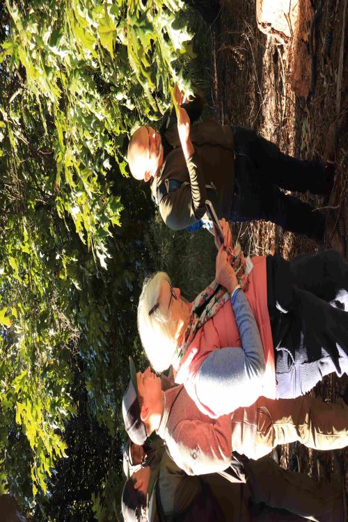 Group studying a tree at Sarah P Duke Gardens