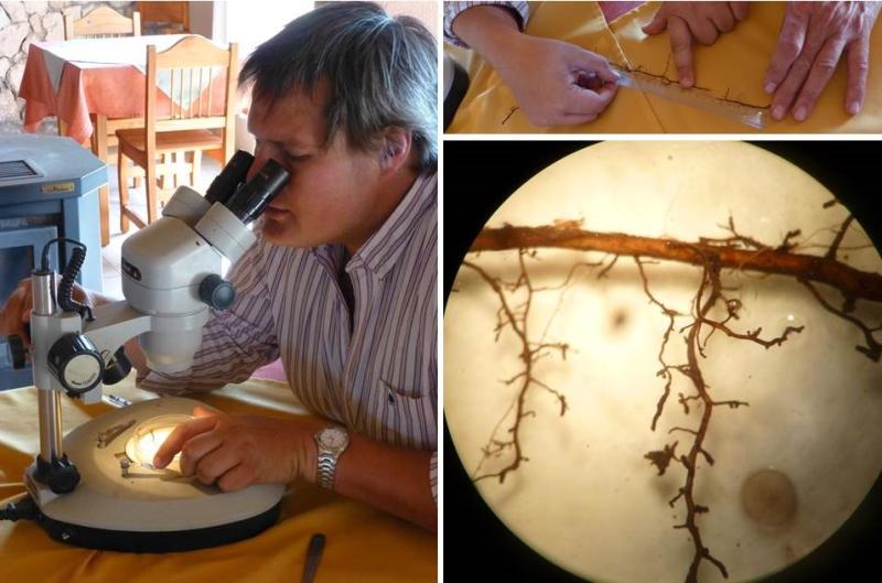 microscope