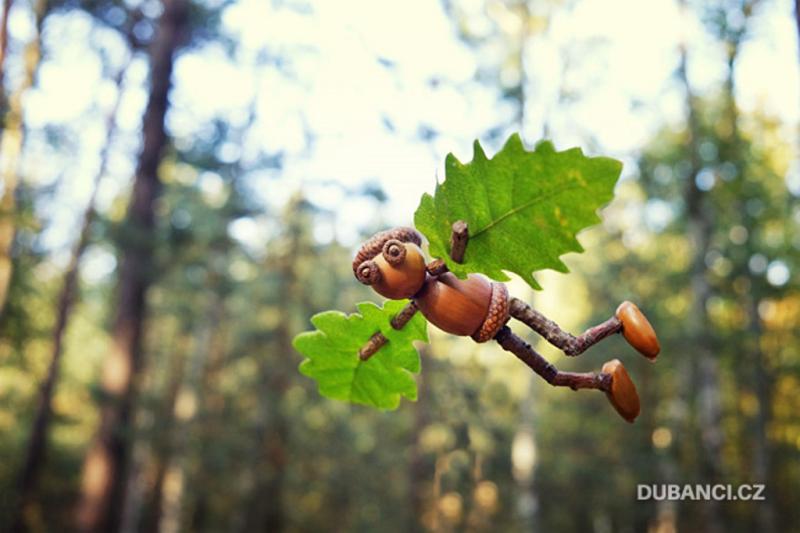 Icarus acorn elf