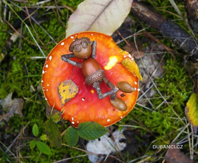 Mushroom