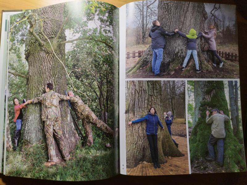 Hugging a tree