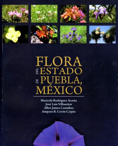puebla