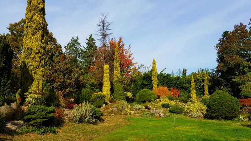 Karaca Arboretum