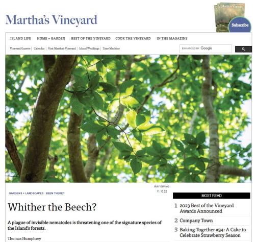 Wither the Beech? by Thomas Humphrey