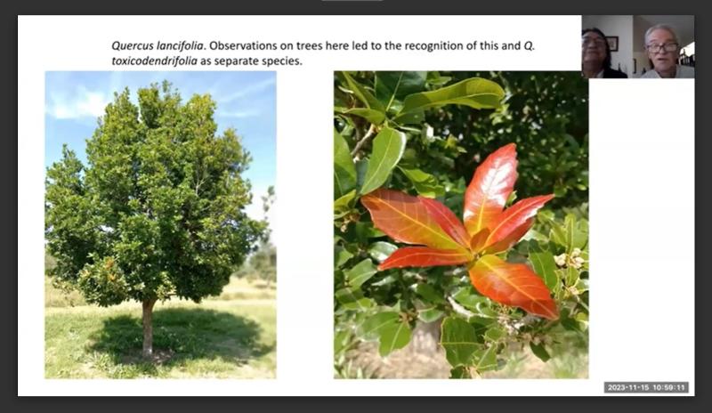 Screenshot from Maricela and Allen's presentation