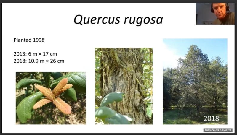 Screenshot from Roderick Cameron's presentation