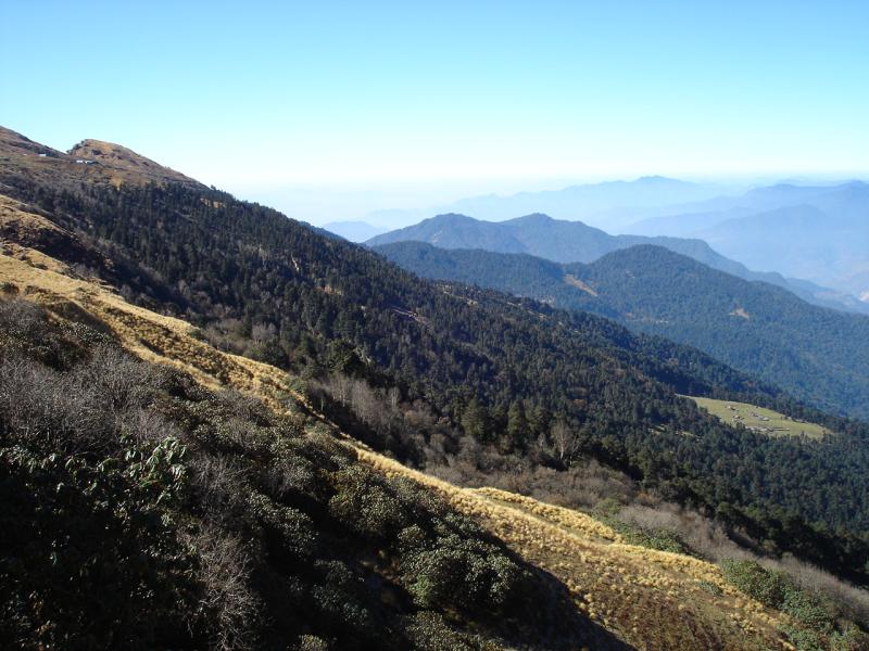 Tungnath a rare combination of trees, shrubs, medicinal herbs snowy mountains and abode of god