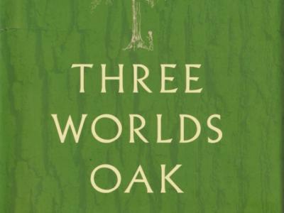 Three Worlds Oak