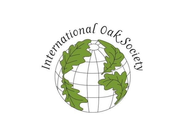 IOS logo