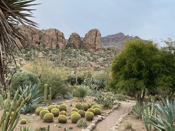 Cactus and Succulents Garden, Boyce Thompson Arboretum