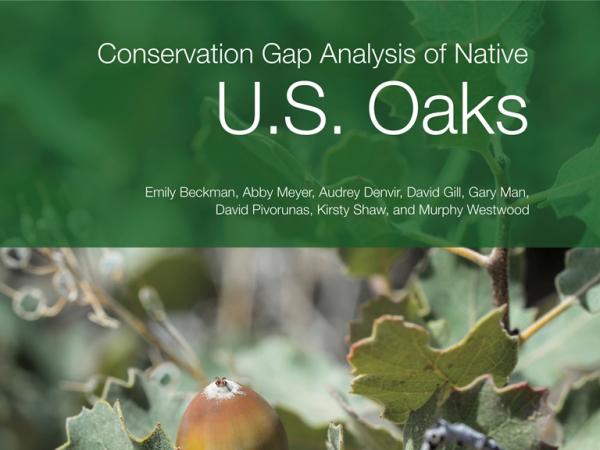 oak_gap_analysis_report_cover.jpg