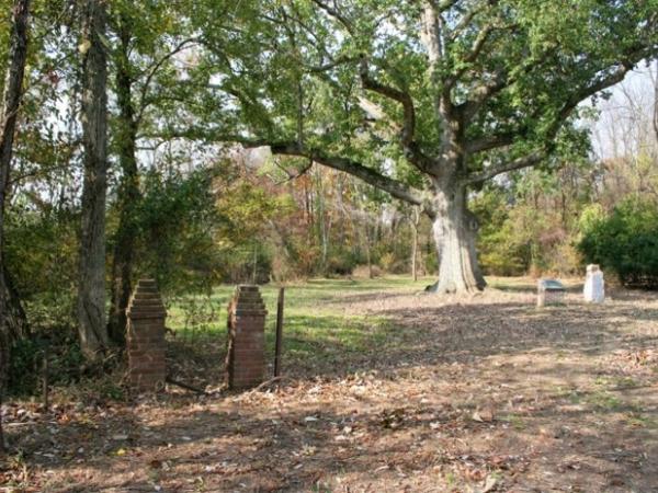 Sacred Oak in Oley Valley