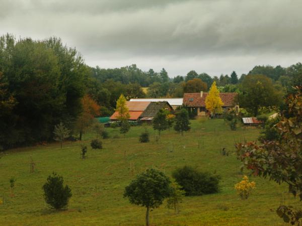 07/10/12. From left foreground, Pinus bungeana, Q. myrsinifolia Blume. and Q. aliena var. pekingensis Schottky. Photo: Marie-Paule Thuaud.