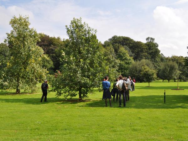 Quercus macrocarpa, 20001403.03